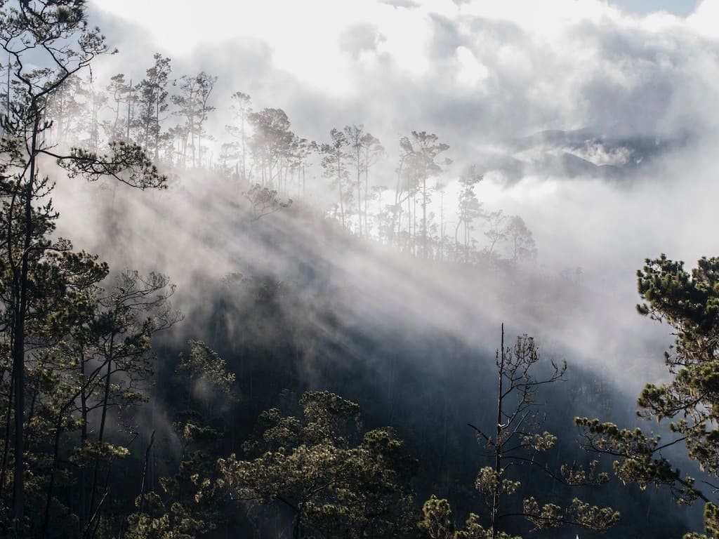 Jarabacoa montañas con niebla República Dominicana – paisaje de pinos y nubes en el interior de la isla