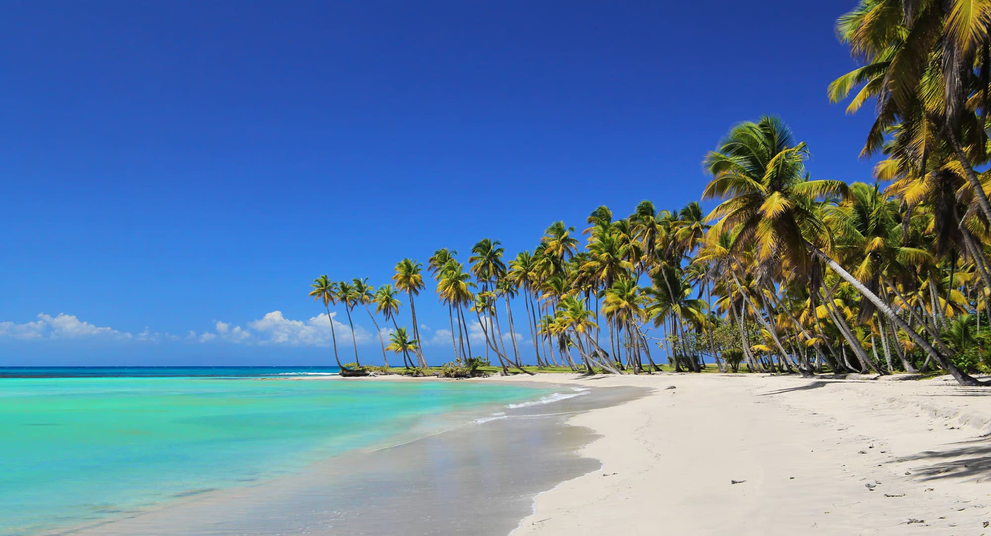 Playa Esmeralda República Dominicana – playa escondida con agua turquesa y palmeras