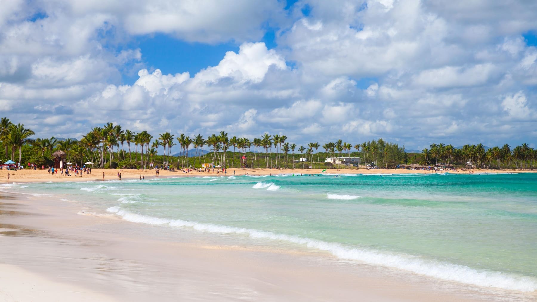 Surf en Playa Macao Punta Cana – tablas y palmeras en la playa