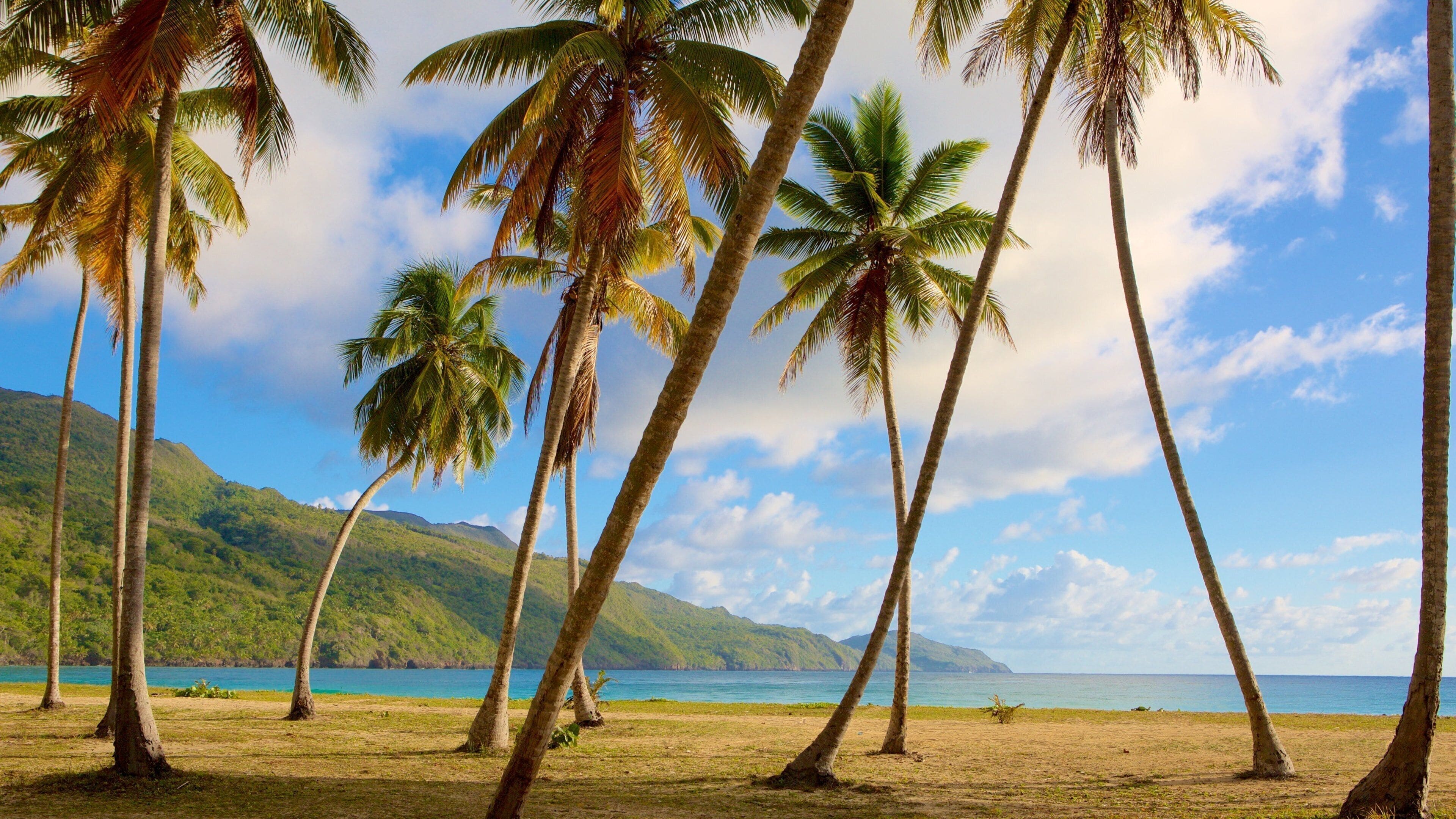 Playa Rincón Samaná – una de las mejores playas del mundo con palmeras y agua turquesa en República Dominicana